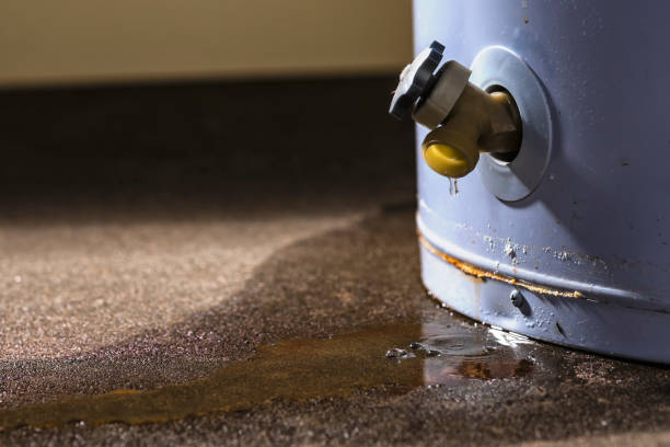 Best Fire Damage Restoration  in Felida, WA