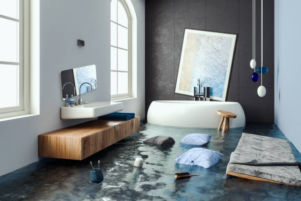 Best Mold removal after water damage  in Felida, WA