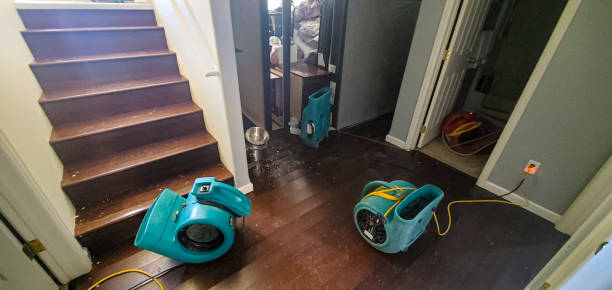 Best Flooded house restoration  in Felida, WA