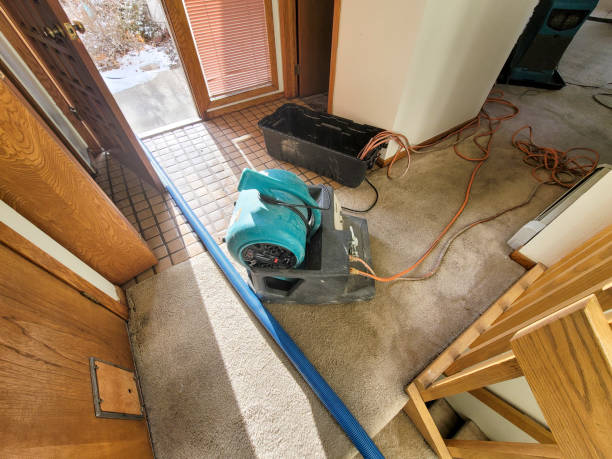 Best Residential water damage restoration  in Felida, WA