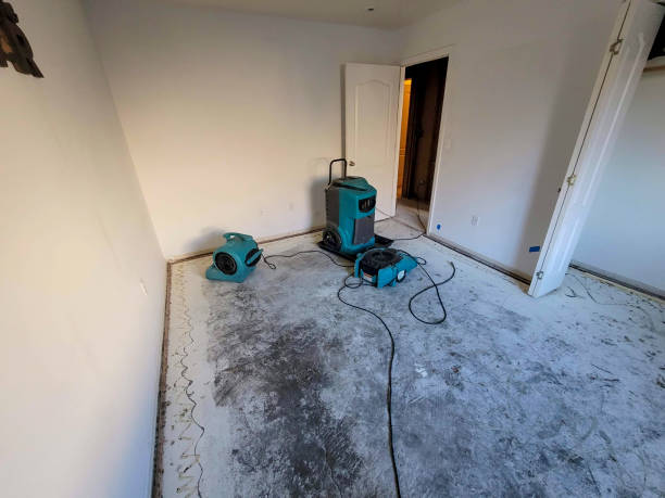Best Emergency water damage restoration  in Felida, WA