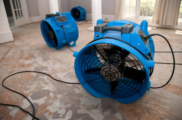 Best Sewage cleanup and water damage restoration  in Felida, WA