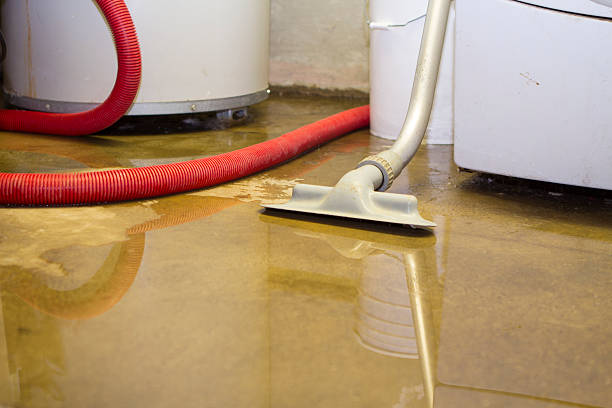 Best Basement water damage restoration  in Felida, WA