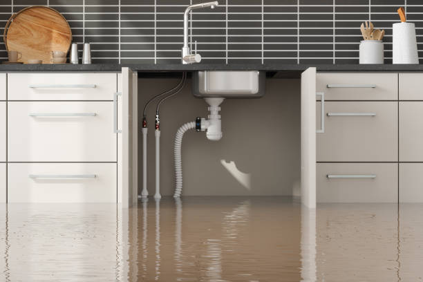 Best Water damage restoration specialists  in Felida, WA