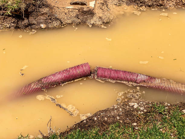 Felida, WA Water damage restoration Company