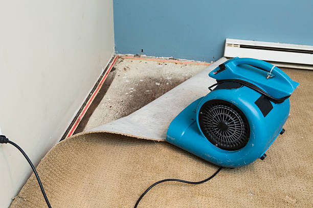 Local water damage restoration in Felida, WA
